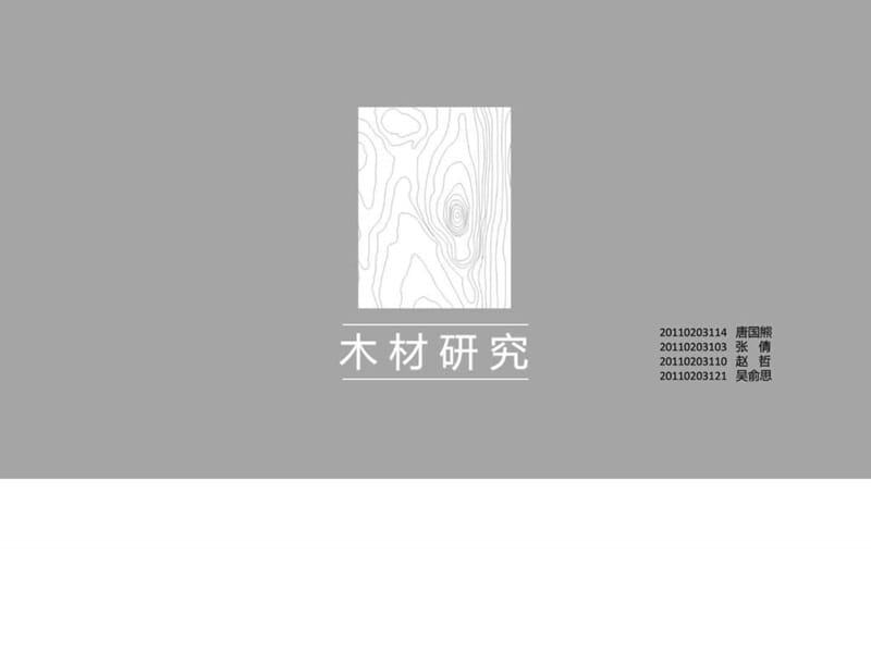 木材研究_图文.ppt.ppt_第1页