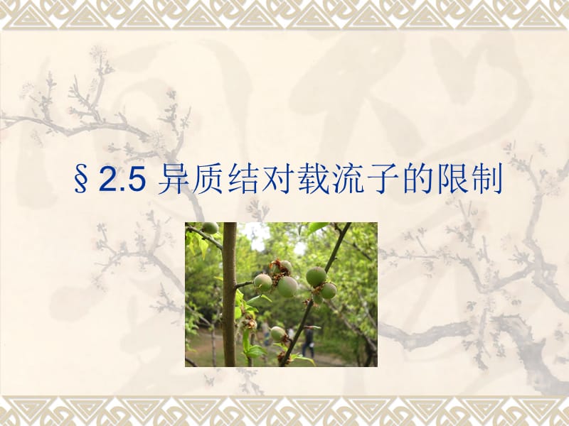 《半导体光电子学课件》下集2.5 异质结对载流子的限制.ppt_第1页