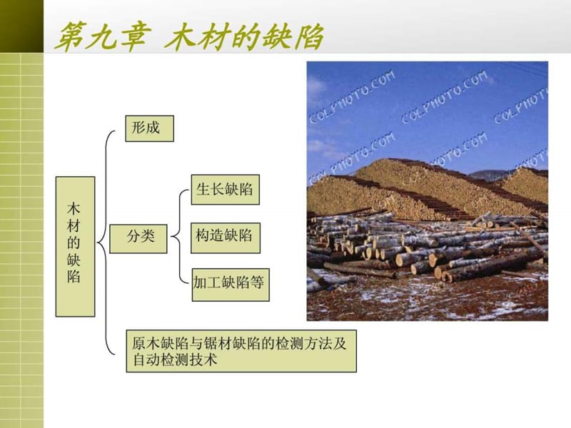 木材缺陷_图文.ppt.ppt_第3页