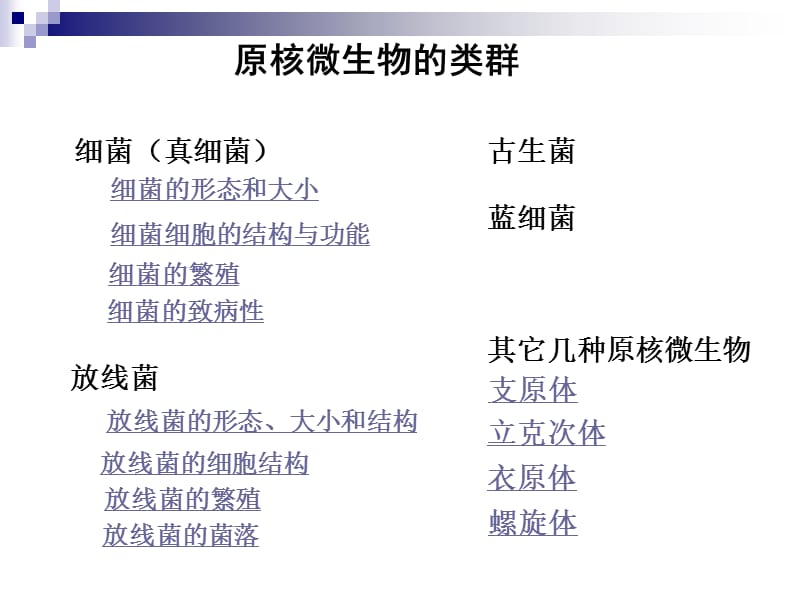 《微生物学与免疫学》2-原核微生物-王莹.ppt_第3页