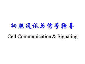 《分子 细胞与组织教学课件》18.细胞通讯,信号转导与基因表达调控.ppt