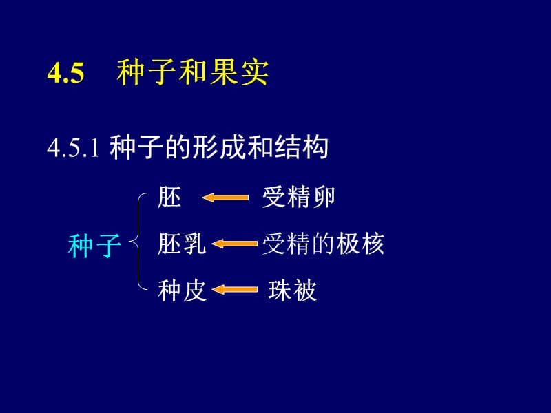 《植物学教学资料》第六节 种子和果实.ppt_第1页