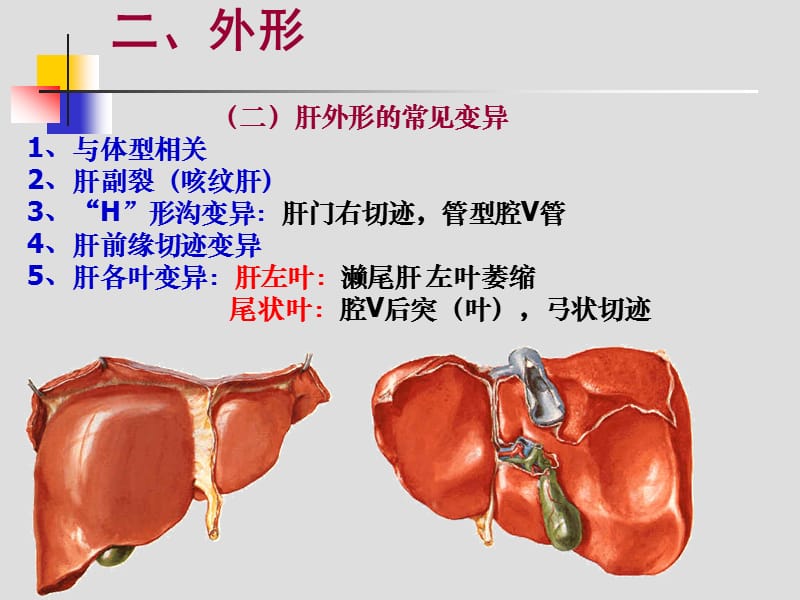 肝胆门V.ppt_第3页