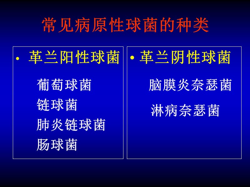 微生物课件-实验-球菌＋药敏试验.ppt_第2页