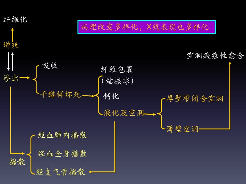 影诊讨论课 04肺结核病、尘肺-学生版.ppt_第3页