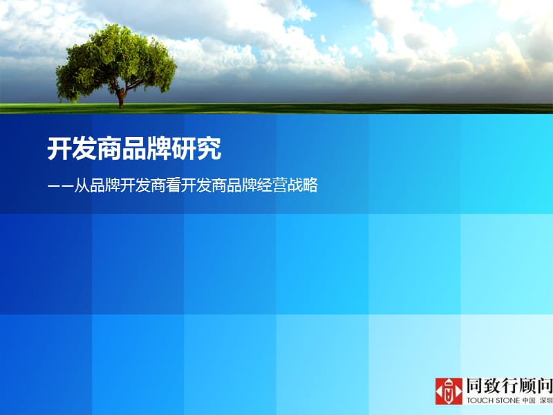 开发商品牌研究--从品牌开发商看开发商品牌经营战略 2011-74页.ppt_第1页