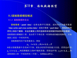 面板数据模型经典_PPT_图文.ppt.ppt