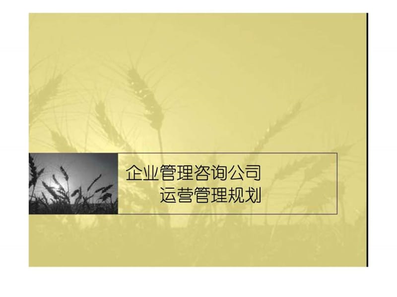 企业管理咨询公司运营管理规划(119页).ppt_第1页