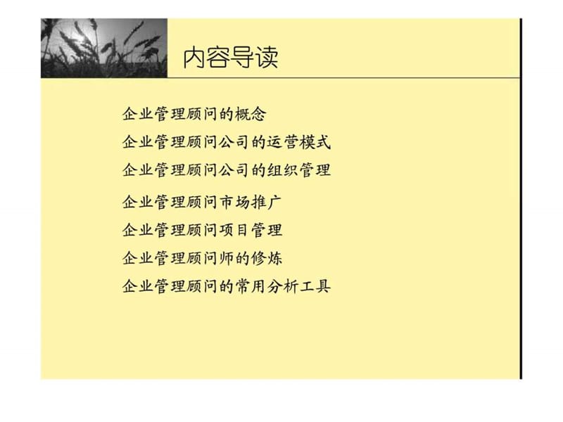 企业管理咨询公司运营管理规划(119页).ppt_第3页