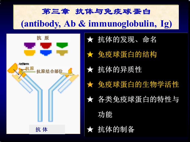 医学免疫学精品课件（南方医科大学）第三章 抗体与免疫球蛋白.ppt_第1页