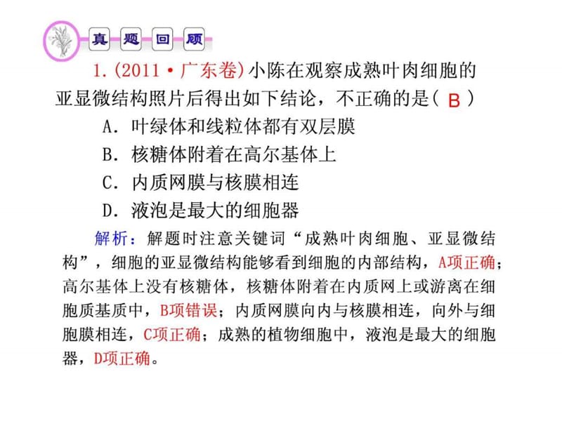 专题1 第二讲 细胞的结构和功能.ppt_第3页