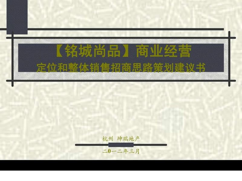 彭浙铭城尚品商业定位报告.ppt.ppt_第1页