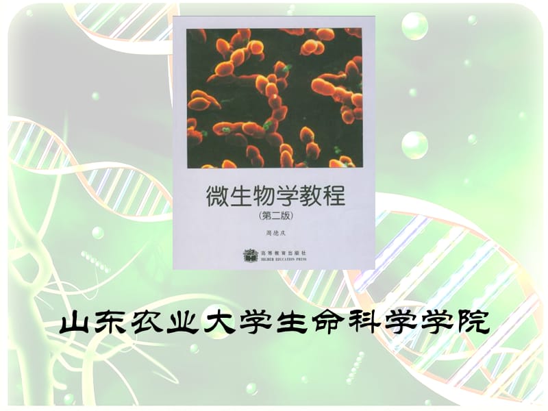 山东农业大学《微生物学课程》01原核形态1.ppt_第2页