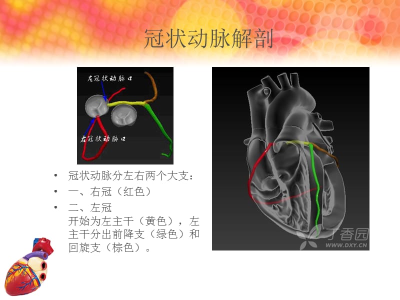 急性心肌梗死罪犯血管的心电图判断 ppt课件.ppt_第3页