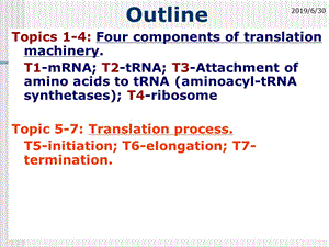 分子生物学（杨洋）第七章 翻译-2.ppt