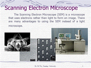 材料表征教学资料 sem.ppt