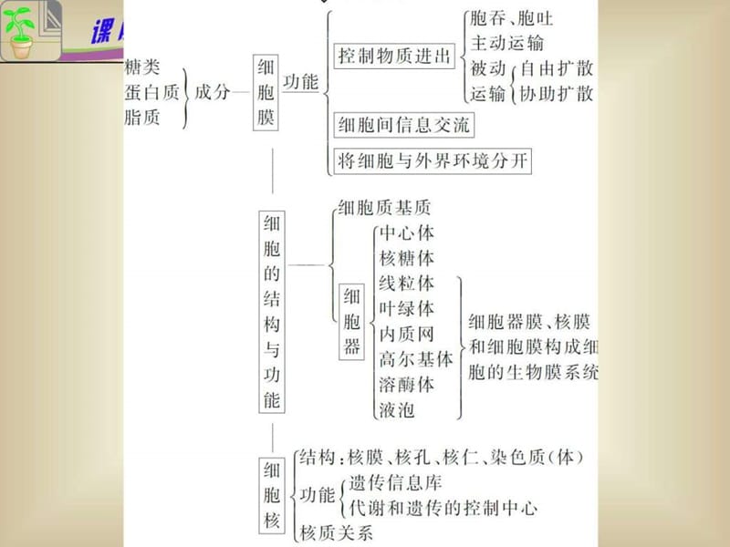 专题1 小专题02 细胞的结构和功能_1494923032.ppt_第3页