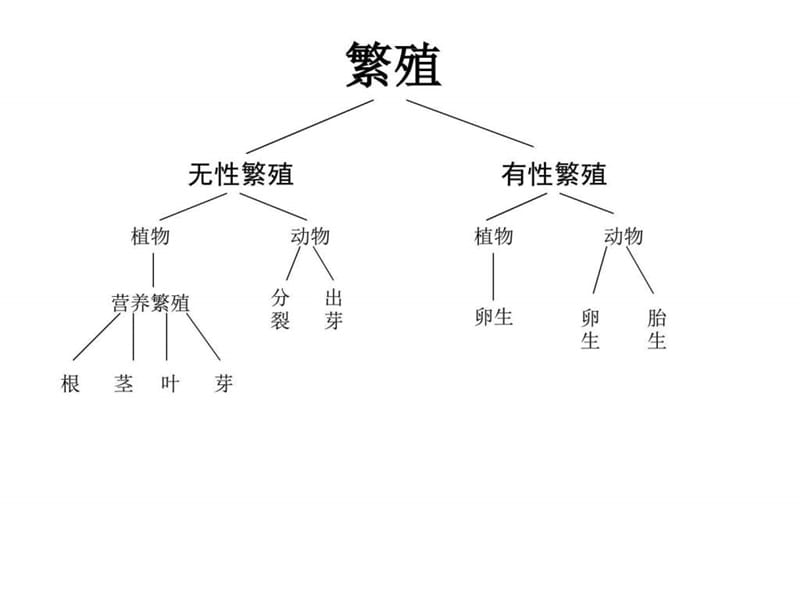 不用种子也能繁殖吗课件PPT下载 苏教版五年级科学下册....ppt.ppt_第2页