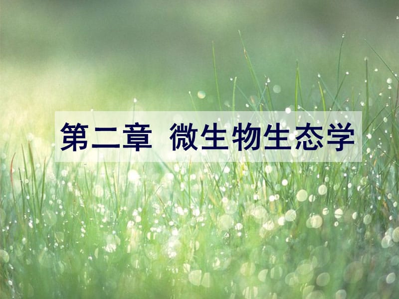 席宇《环境微生物学》13环境微生物学讲义 3.ppt_第2页