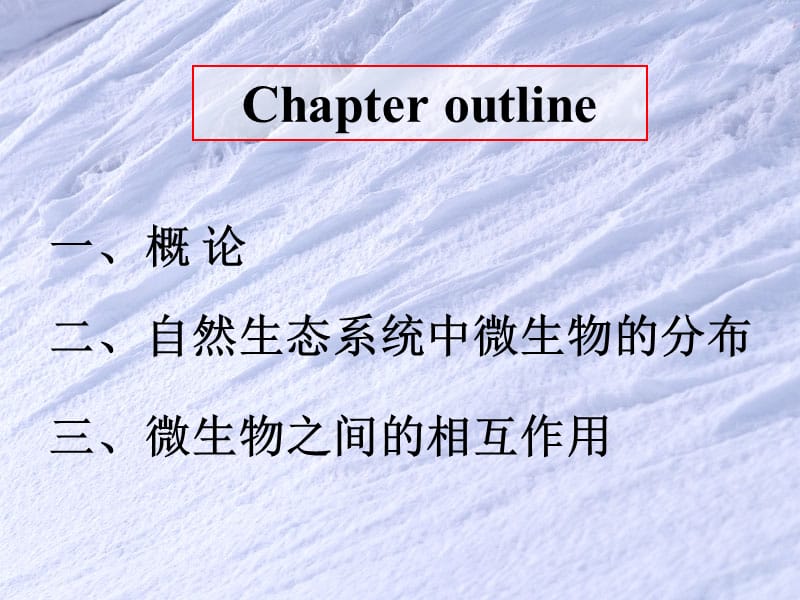 席宇《环境微生物学》13环境微生物学讲义 3.ppt_第3页