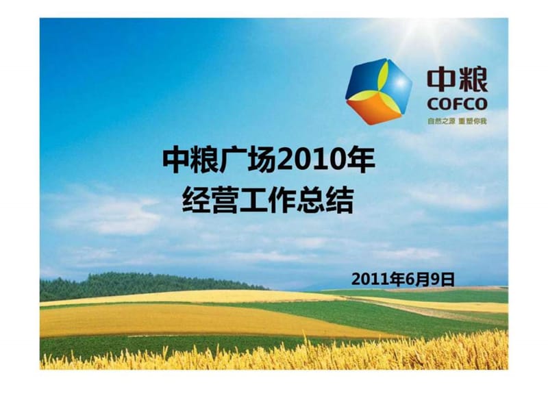 中粮广场2010年经营工作总结.ppt_第1页