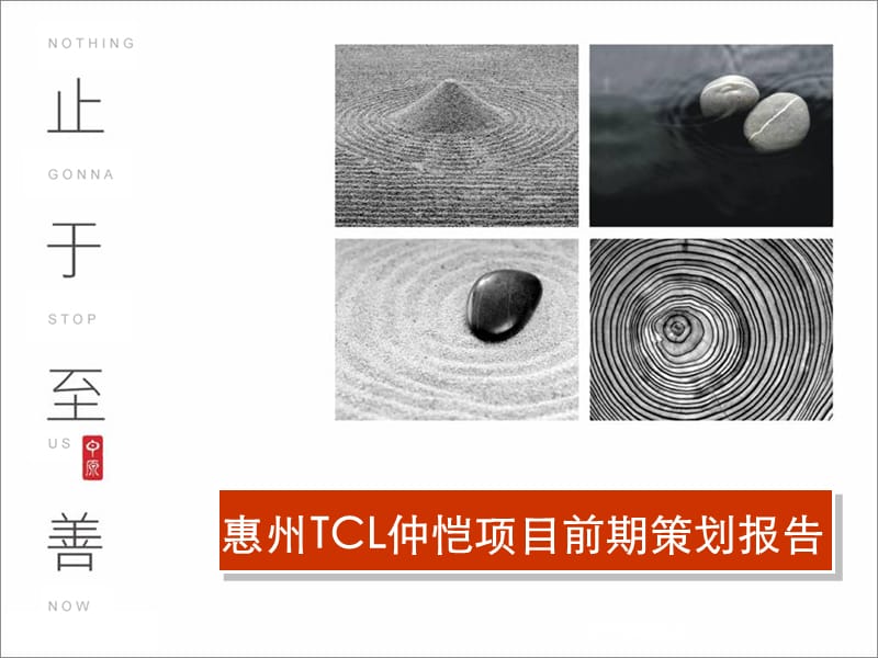 惠州TCL仲恺项目前期策划报告(225页）.ppt_第1页