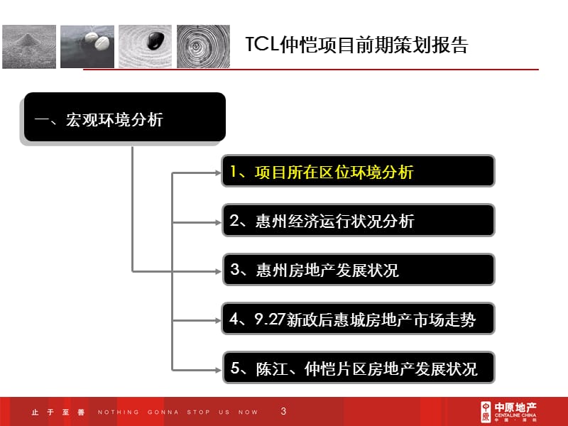 惠州TCL仲恺项目前期策划报告(225页）.ppt_第3页