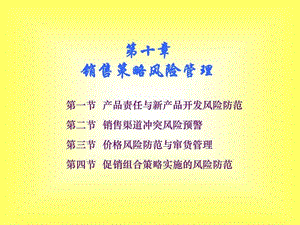 中国销售管理专业 销售风险管理 第十章 销售策略风险管....ppt.ppt