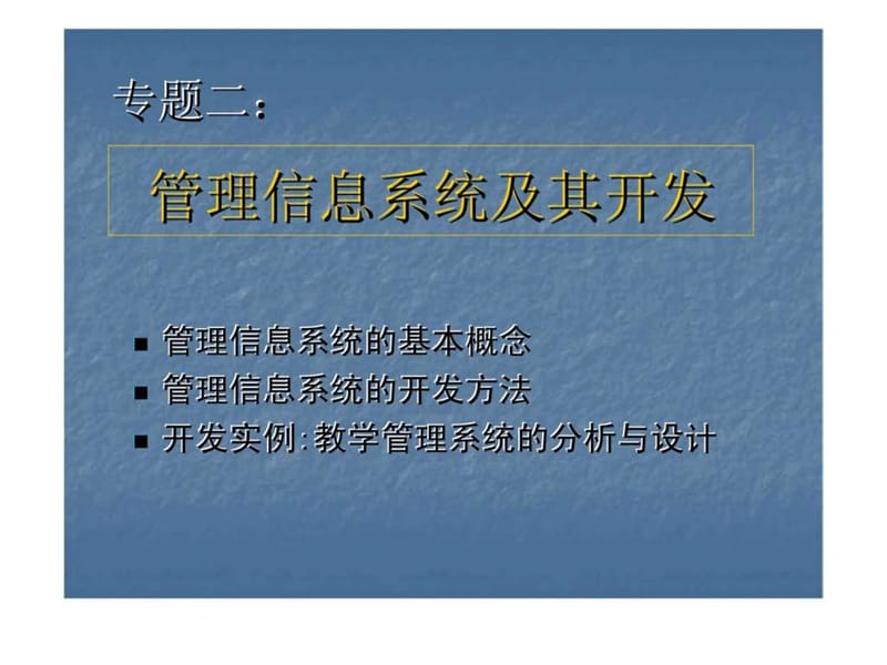 专题二：管理信息系统及其开发.ppt_第1页