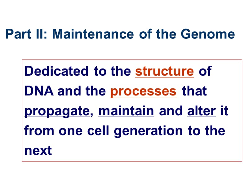 分子生物学（杨洋）第三章-dna的复制-the replication of dna-2014.ppt_第3页