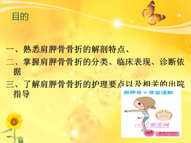 肩胛骨的护理 ppt课件.ppt_第2页