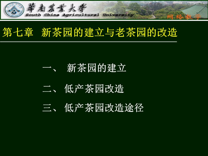 精品课程《茶树栽培学》课件 第七章 新茶园的建立与老茶园的改造.ppt_第3页