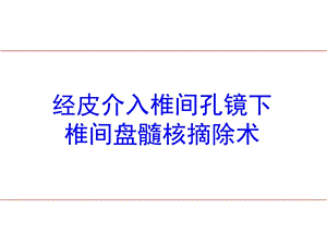 经皮介入椎间孔镜下椎间盘髓核切除术 ppt课件.ppt