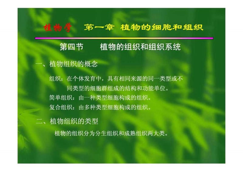 植物的组织和组织系统.ppt_第1页