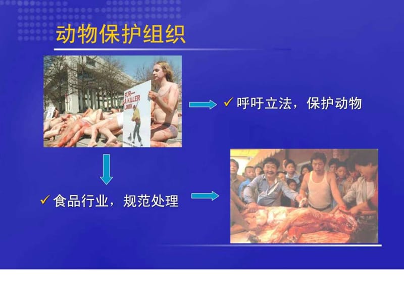 癌痛的规范化治疗201108.ppt.ppt_第3页