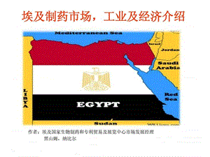 埃及制药市场工业及经济介绍_纺织轻工业_工程科技_专业资料.ppt.ppt