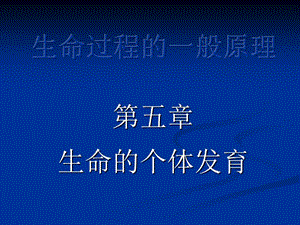 第五章 生命的个体发育.ppt