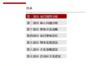 湖南省永州市中央新城前期策划报告220P.ppt