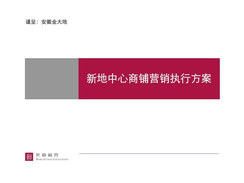 安徽新地中心商铺营销执行方案世联.ppt_第1页