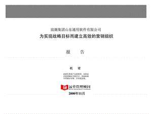 浪潮集团山东通用软件有限公司为实现战略目标而建立高效的营销组织报告.ppt