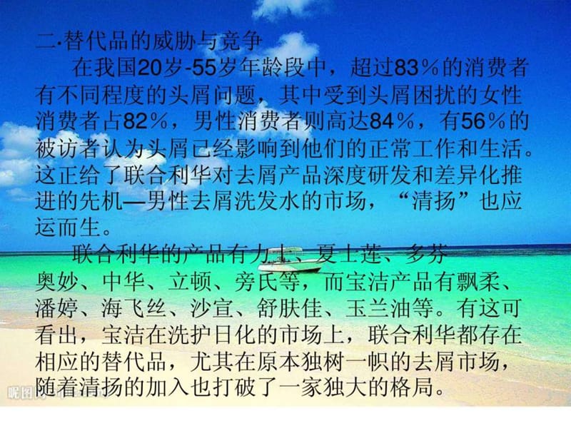 宝洁与联合利华_1635099481.ppt.ppt_第3页