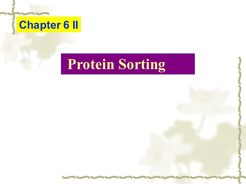 费晓方《细胞生物学》09chapter 6 ii.ppt_第1页