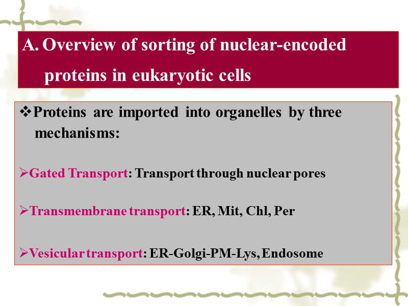 费晓方《细胞生物学》09chapter 6 ii.ppt_第2页