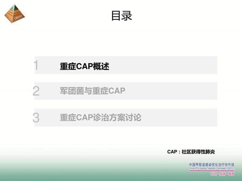 重症社区获得性肺炎的诊治思考_图文.ppt.ppt_第2页