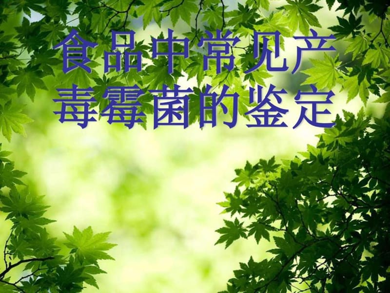 常见产毒霉菌的鉴定.ppt.ppt_第1页