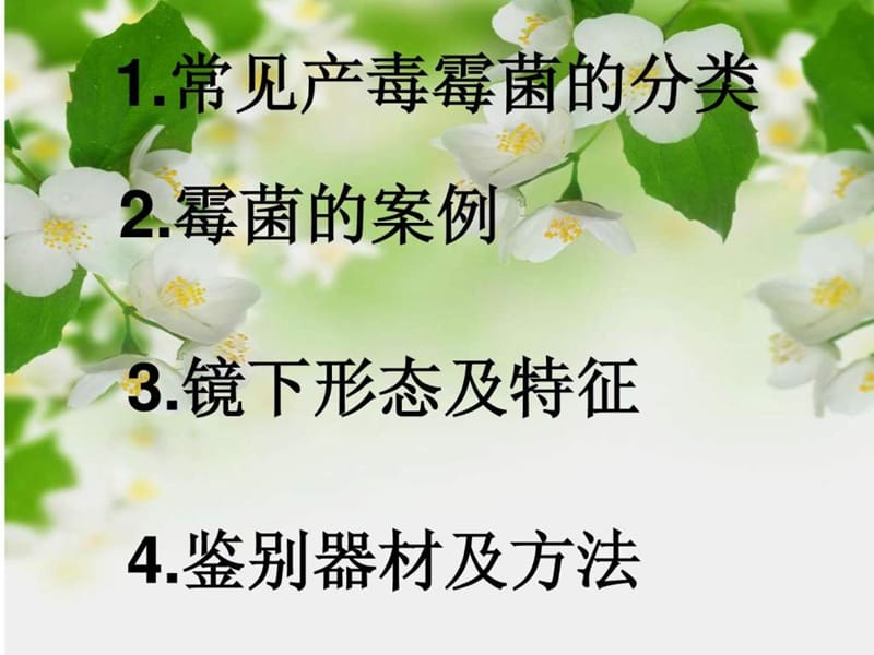 常见产毒霉菌的鉴定.ppt.ppt_第2页