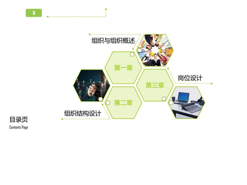 组织管理.ppt_第3页