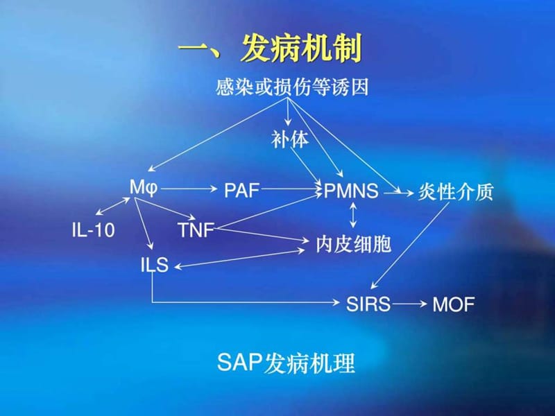 重症急性胰腺炎_图文.ppt.ppt_第2页