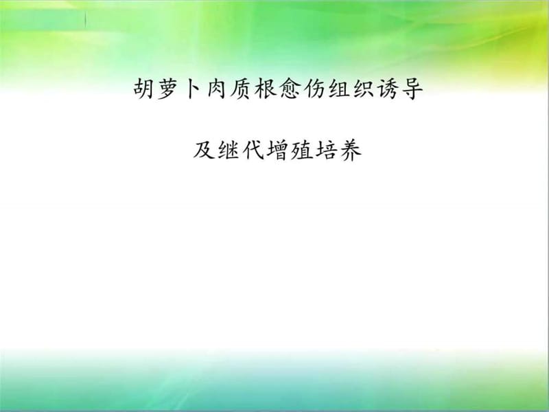 植物组织培养.ppt_第1页