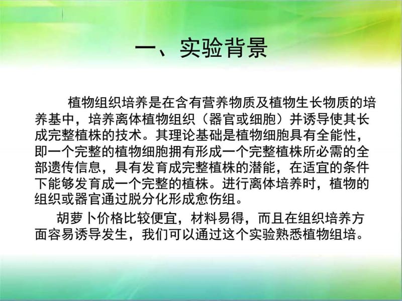 植物组织培养.ppt_第3页